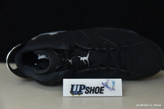 Jordan Retro DX2836-001 6 DX2836-001 Silver Metallic 0306